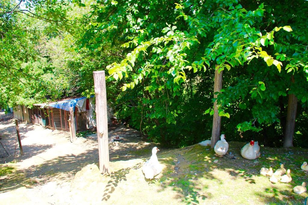Agriturismo Biologico Villa Rosa Monte Guiduccio Exteriör bild