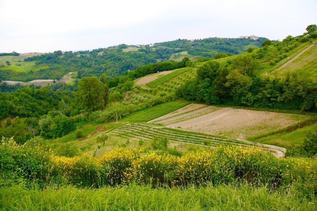 Agriturismo Biologico Villa Rosa Monte Guiduccio Exteriör bild