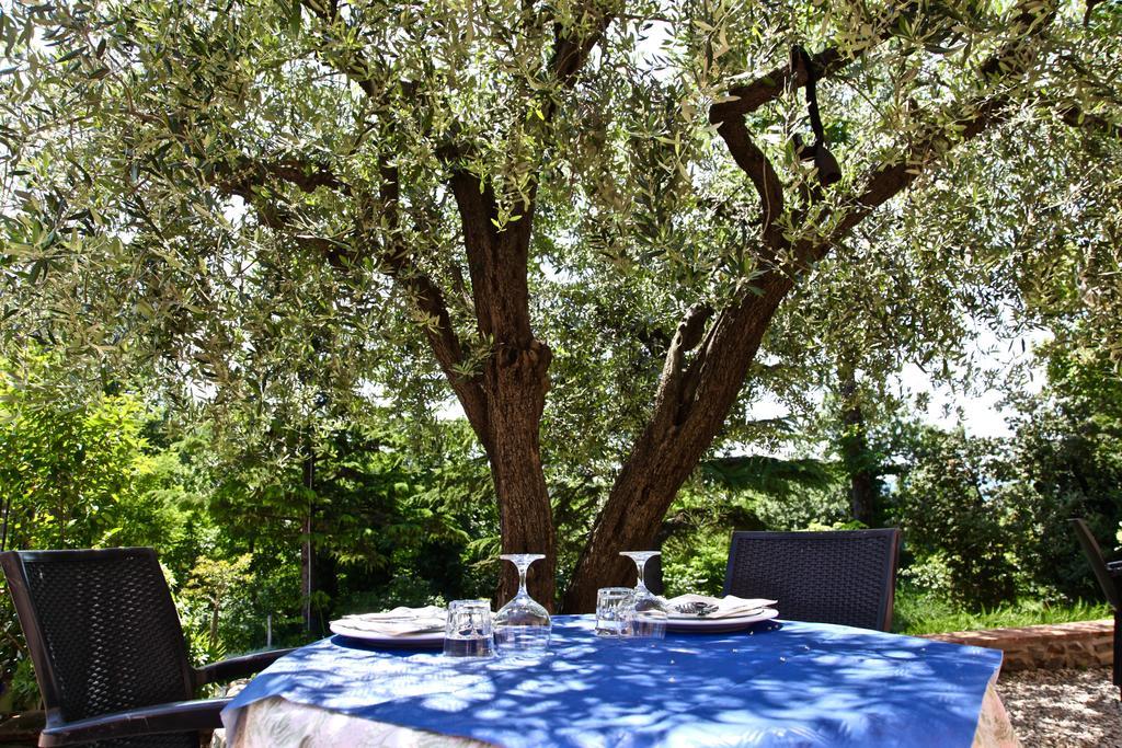 Agriturismo Biologico Villa Rosa Monte Guiduccio Exteriör bild