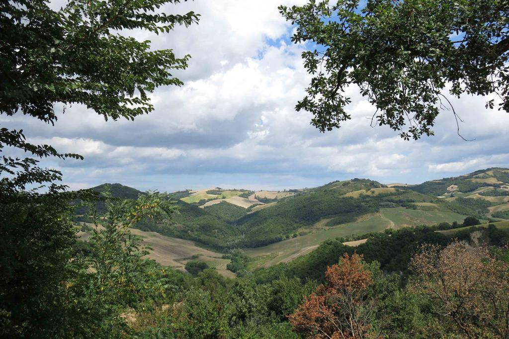 Agriturismo Biologico Villa Rosa Monte Guiduccio Exteriör bild